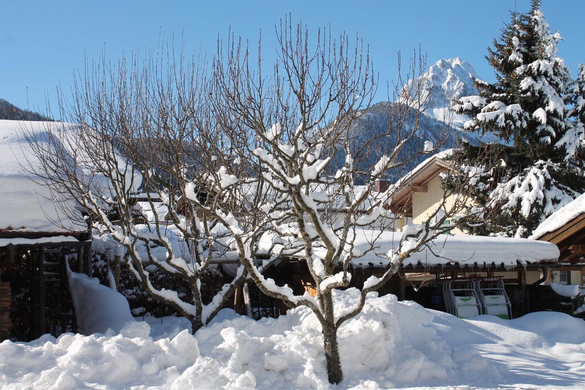 Ferienapartmenthaus Hubertushof Mittenwald Zewnętrze zdjęcie